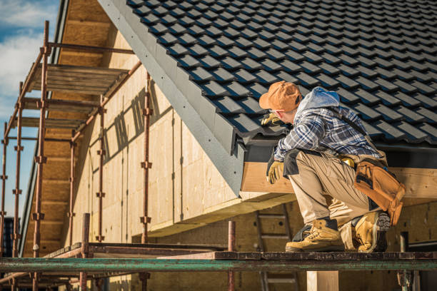 Best Shingle Roofing Installation  in Arcadia, WI